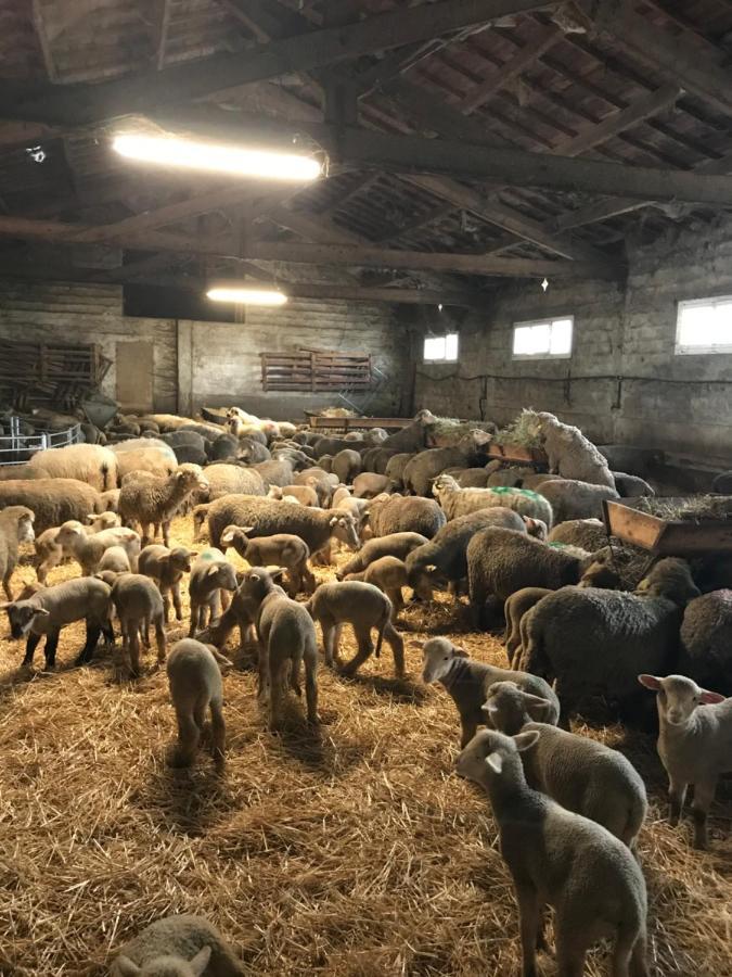 Вілла Studio A La Ferme Арль Екстер'єр фото