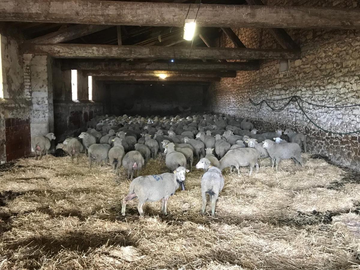 Вілла Studio A La Ferme Арль Екстер'єр фото