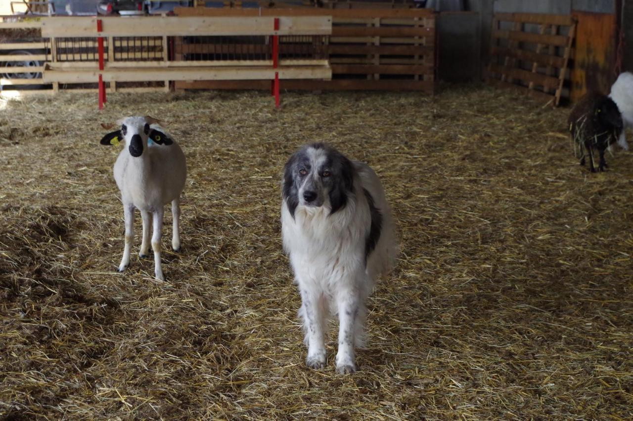 Вілла Studio A La Ferme Арль Екстер'єр фото