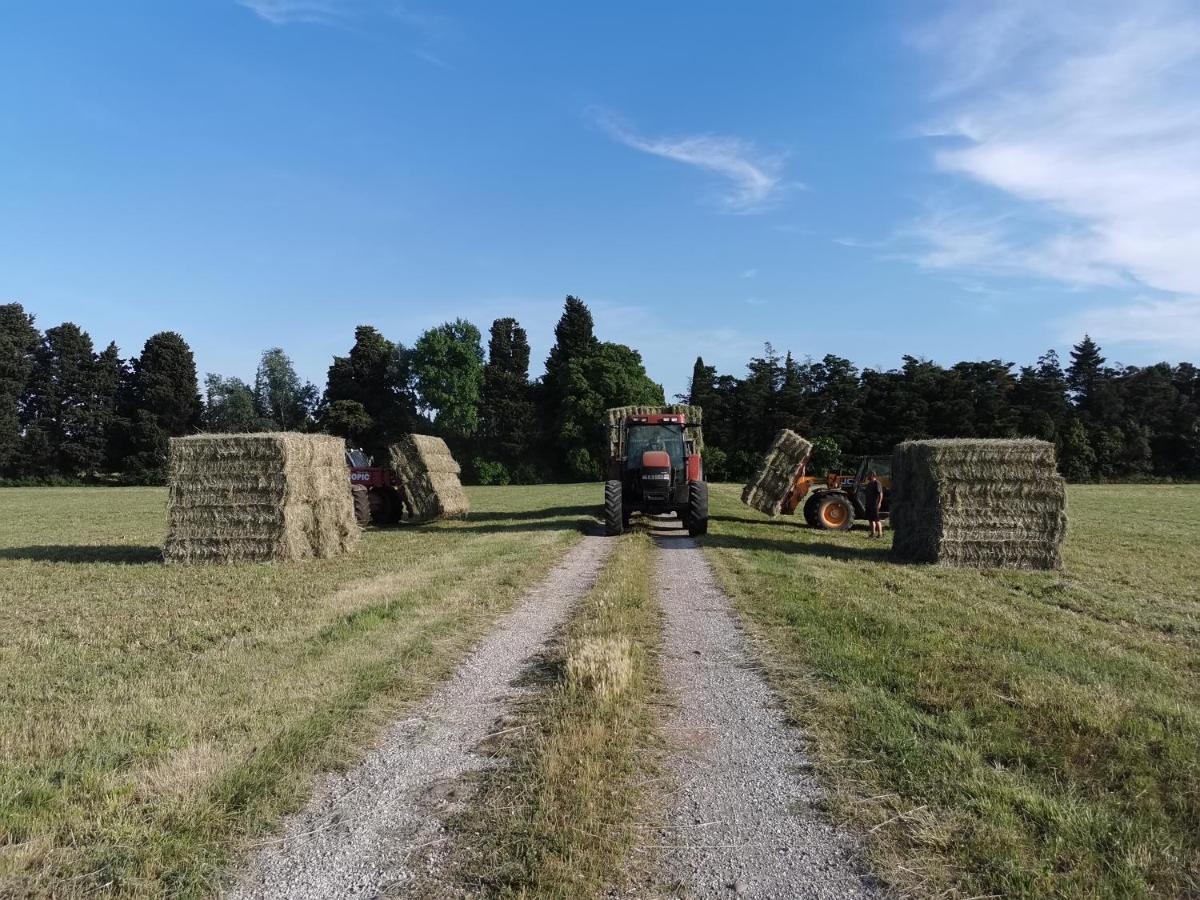 Вілла Studio A La Ferme Арль Екстер'єр фото